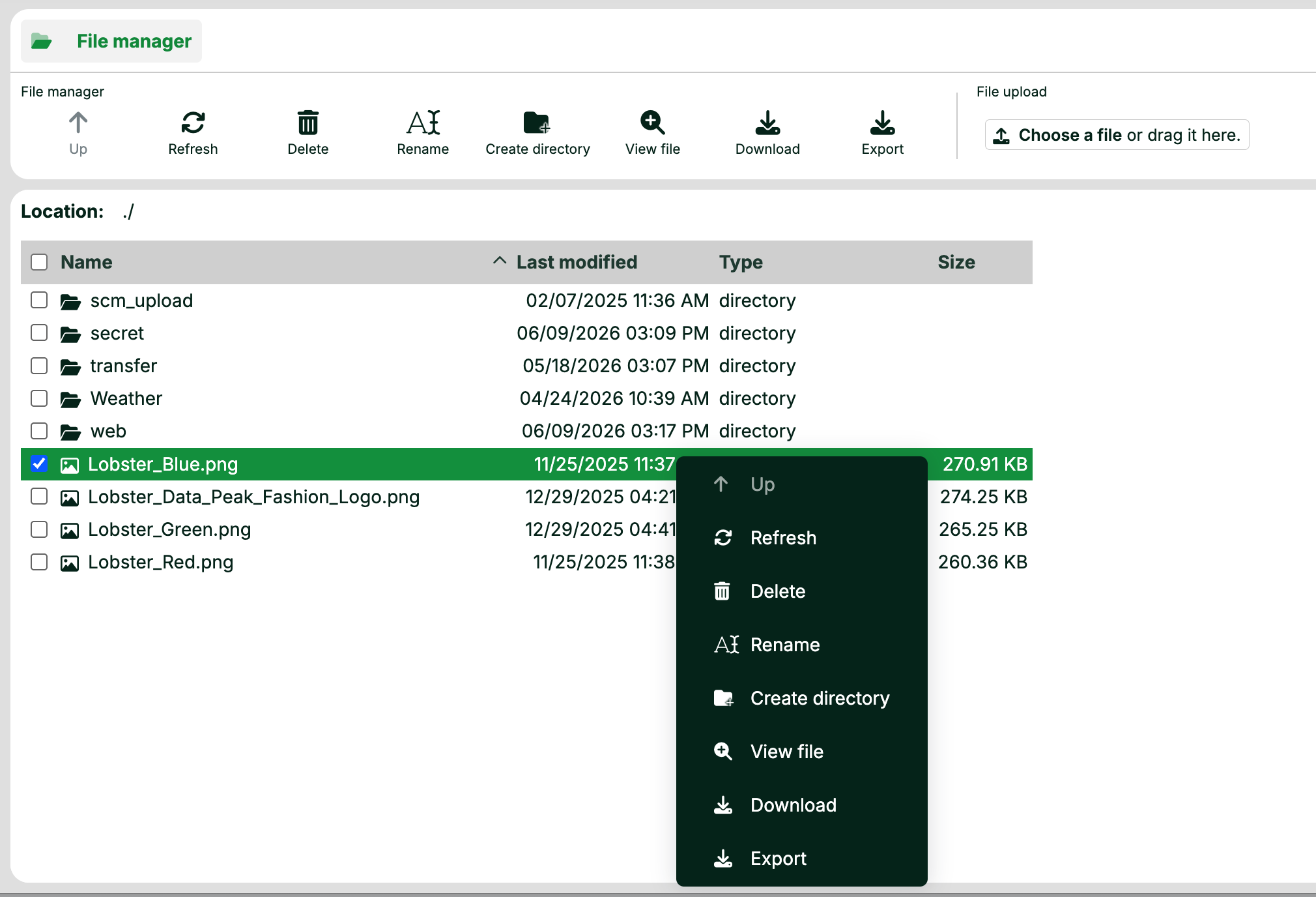 File manager displaying various files with options for managing selected items.